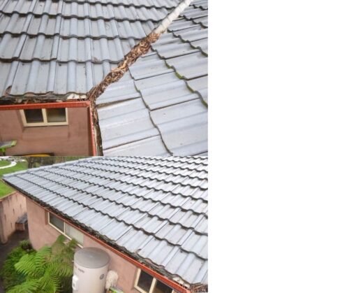 Blocked Guttering- One of the most Common Pre-Purchase Defects