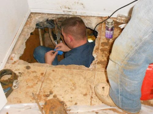 It's all about timing - the different methods of sale and when you need a building inspection