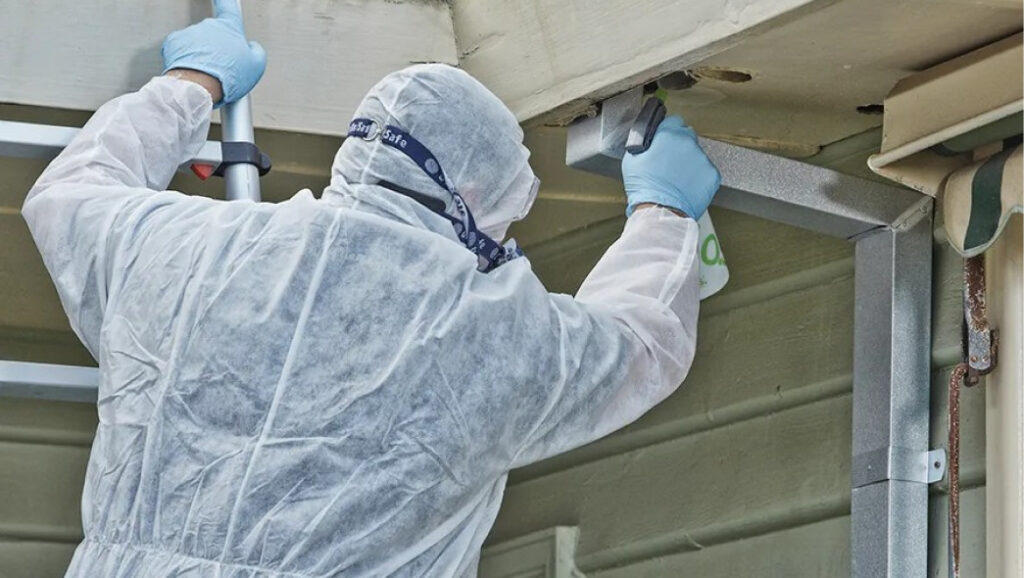 building inspection