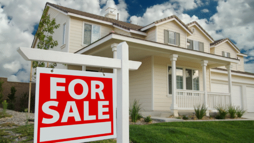Importance Of Pre-Purchase Building Inspection In New Zealand