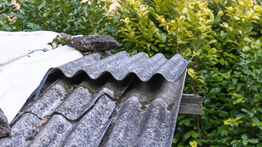 asbestos inspection