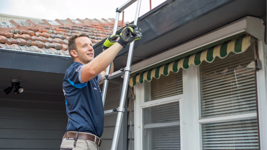 Building Inspection reports