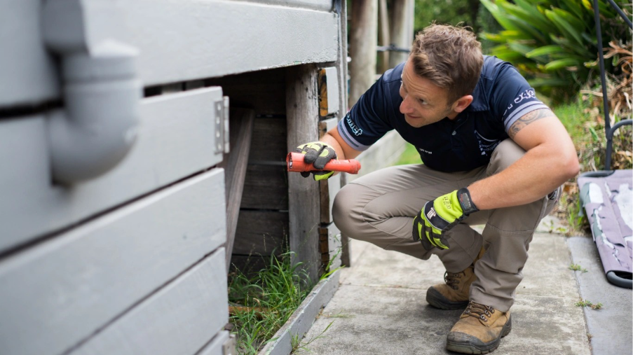 Structural Assessments